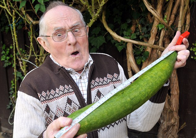 elderly man with cucumber