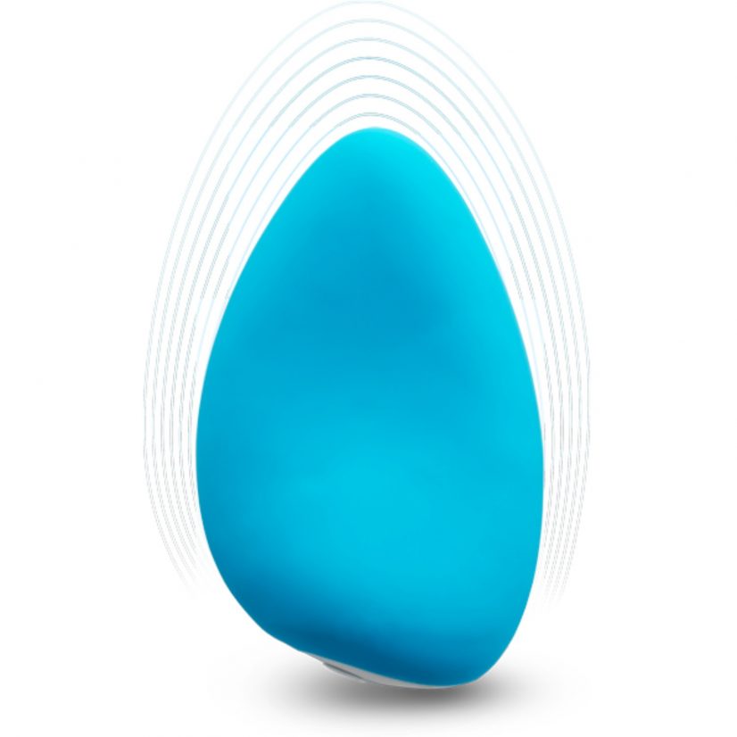 We-Vibe Wish Sex Toy Photo