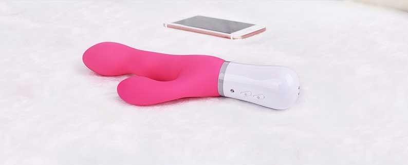 Lovense Nora Womens Vibrator Photo