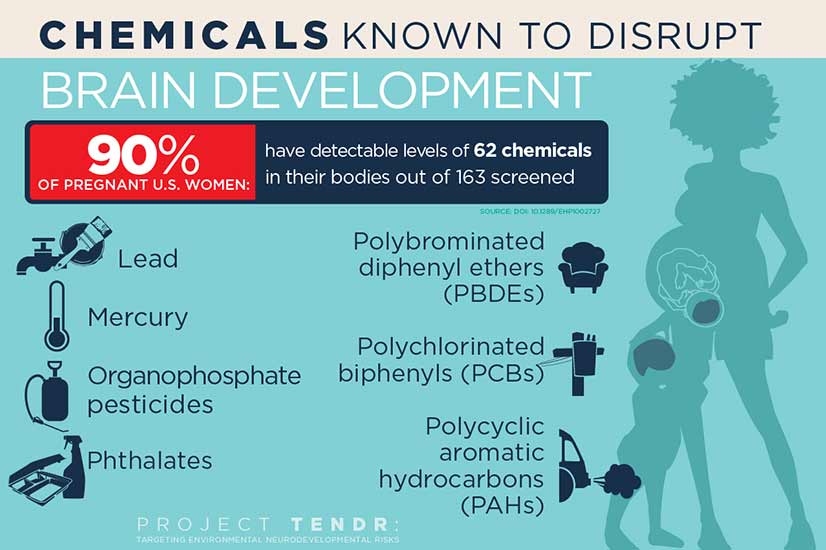 Toxic materials like phthalates