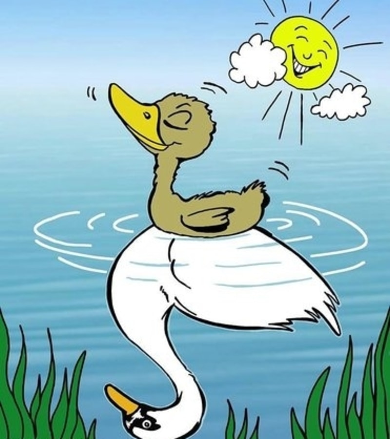 The Ugly Duckling Syndrome!!