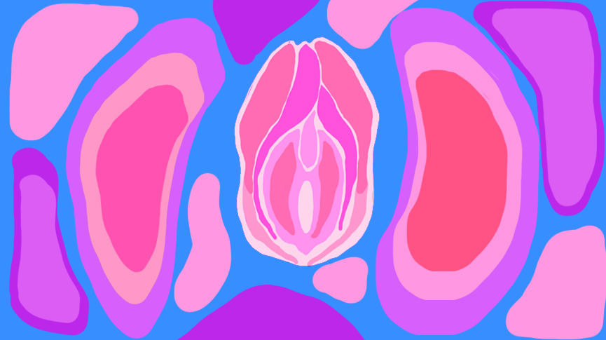 V² (Vulvas and Vaginas)