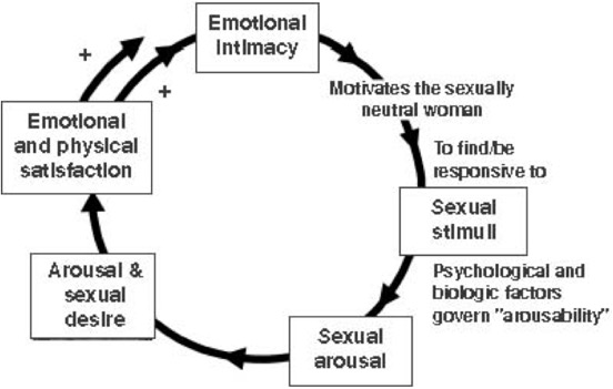 female sexual response