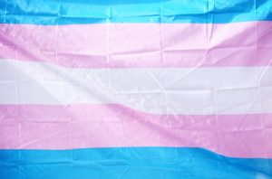 Navigating Transgender Terminology