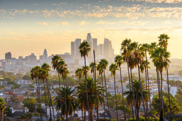 An Adult Australian’s Guide to Exploring Los Angeles